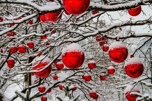 Weihnachtskugeln an verschneitem Baum